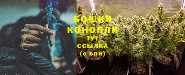 СК Осинники