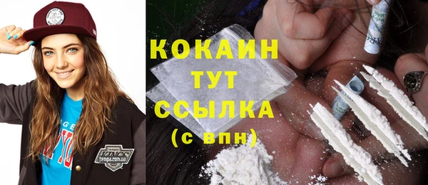 СК Осинники