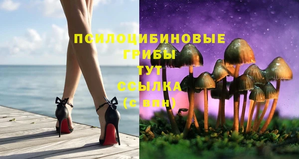 Альфа ПВП Пестово