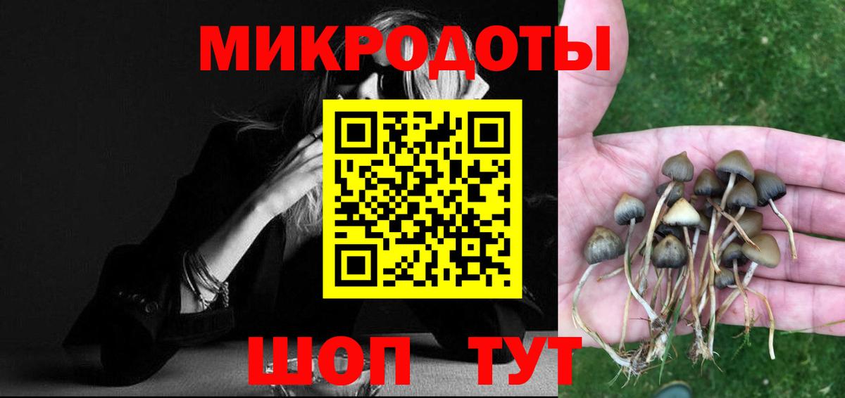 Галлюциногенные грибы Cubensis  Псилоцибиновые грибы Psilocybe  Отрадное  Вход с VPN 