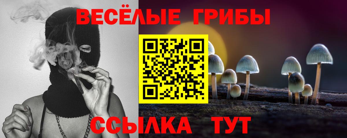 Псилоцибиновые грибы Psilocybe  Отрадное  Псилоцибиновые грибы Cubensis 